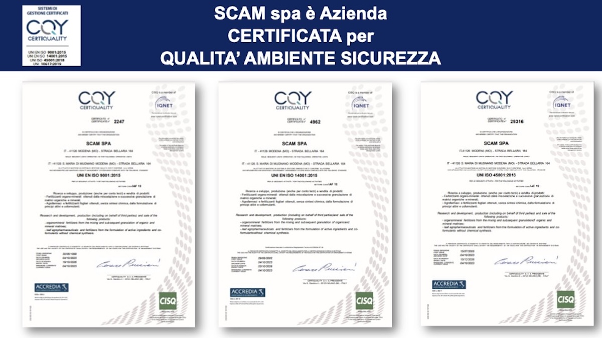 rinnovo-certificazione-qualita-audit-redazionale-ottobre-2023-fonte-scam.jpg